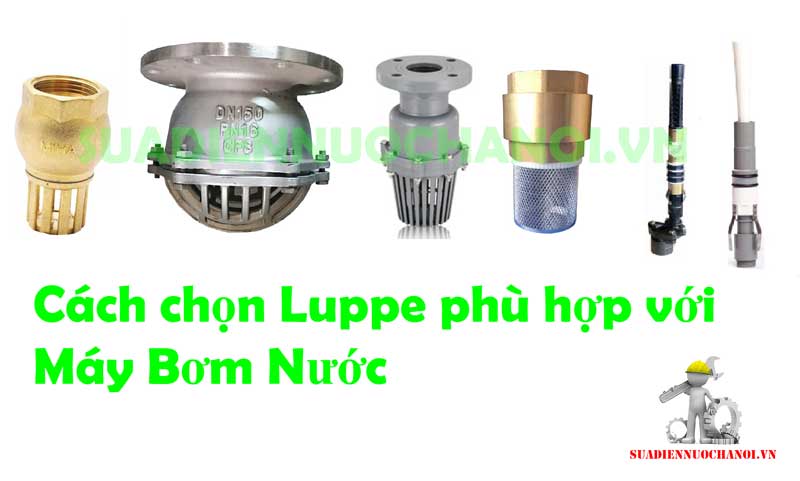 Luppe(lúp bê )  nhựa , đồng ,chõ máy bơm là gì