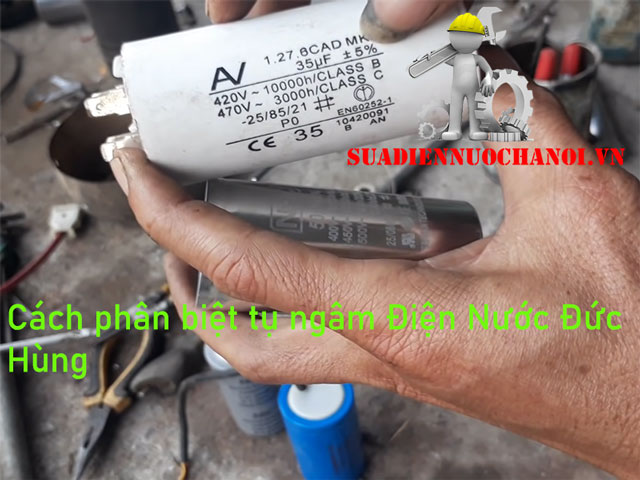 cách phân biệt tụ ngậm