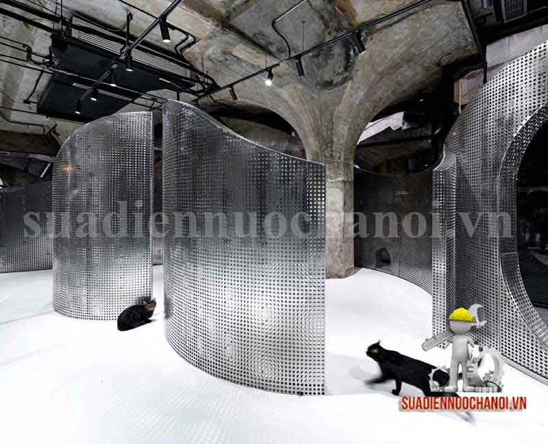 lắp đường dây điện nổi trong nhà hàng đẹp