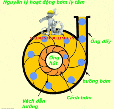 Nguyên lý hoạt động của bơm ly tâm