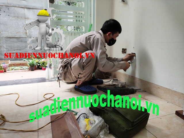Hb8879 khuyến mãi bị mất một nhánh trong nhà
